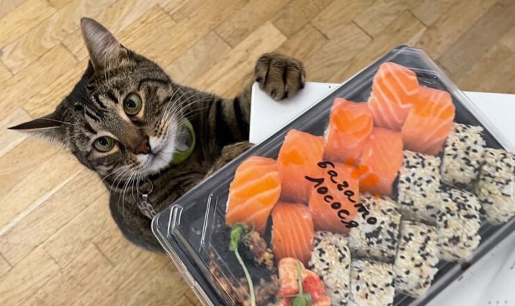 GetOrder зменшує участь людини в опрацюванні замовлення на 90%, – Багато Лосося