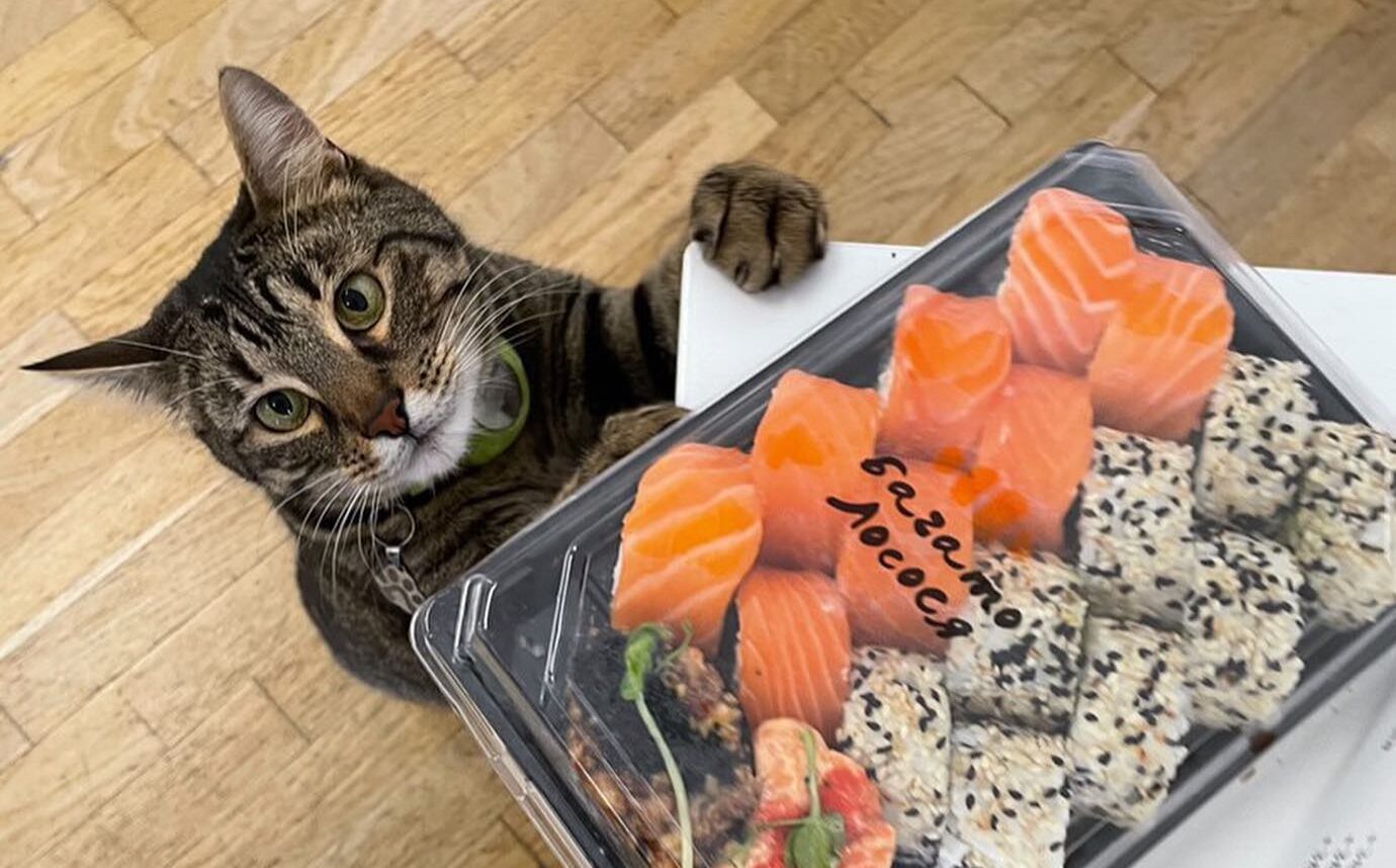 GetOrder зменшує участь людини в опрацюванні замовлення на 90%, – Багато Лосося